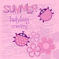 Pink card creeping ladybug vector illustration Royalty Free Stock Photo
