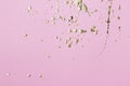 Pink cardboard with gold potal drops and splashes. Creative background, copy space