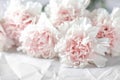 Pink carnation flower bouquet closeup texture and background Royalty Free Stock Photo