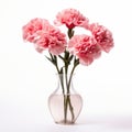 Pink Carnation Flower In Glass Vase - Jewish Culture Themes