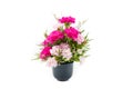 Pink carnation flowers in black vase