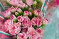 Pink carnation flowers. Close up to a beautiful bouquet of blooming pink pastel carnation Royalty Free Stock Photo