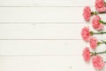 Pink carnation flowers on on white wood background Royalty Free Stock Photo