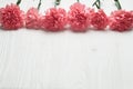 Pink carnation flowers on white wood Royalty Free Stock Photo