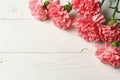 Pink carnation flowers on white wood Royalty Free Stock Photo