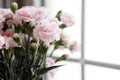 Pink carnation flowers by the window.. Royalty Free Stock Photo