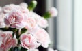 Pink carnation flowers by the window.. Royalty Free Stock Photo