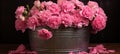 Pink carnation flowers in zinc bucket, a heartfelt tribute to mothers on their special day