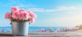 Pink carnation flowers in zinc bucket, radiating love and happiness for mothers day. Royalty Free Stock Photo