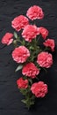 Pink Carnation Plants: Realistic Chiaroscuro And Vintage Cut-and-paste Designs Royalty Free Stock Photo