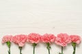 Pink carnation on white wooden background, border Royalty Free Stock Photo