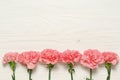 Pink carnation on white wooden background, border