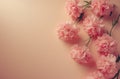 pink carnations arrange to the edge of the frame Royalty Free Stock Photo