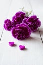 Pink carnations flower bouquet Royalty Free Stock Photo