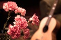 Pink carnations and guitar