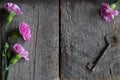 Pink carnations, ribbon and old key on the wooden, vintage background Royalty Free Stock Photo