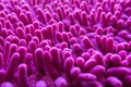 Pink carpet softness texture of doormat, select focus close-up image