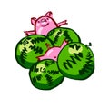 Funny cute color vector pig and melon