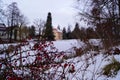 Pink castle, pond and red plant