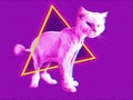 Pink cat. Retro wave synth vaporwave portrait of a funny cat. Concept of memphis style posters.