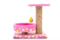 Pink cat tree on white background Royalty Free Stock Photo