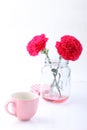 Pink ceramic cup and red carnation flower Royalty Free Stock Photo