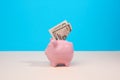 Pink ceramic piggy bank with paper us dollars on a blue background. Money saving concept Royalty Free Stock Photo