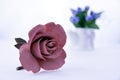 Pink ceramic rose on a white background with flowers