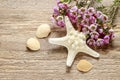 Pink chamelaucium wax flower and starfish on wooden background Royalty Free Stock Photo