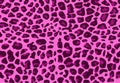 Pink cheetah background