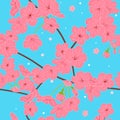 Pink cherry blossom background. Japanese sakura pattern background. Hand drawn Asian spring floral pattern background.
