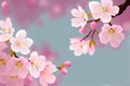 Pink Cherry blossom Royalty Free Stock Photo