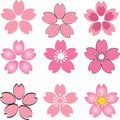 Pink Cherry Blossom flower set vector with many style include d