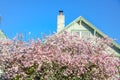 Pink cherry blossom near chimney of residential house in Seattle clear blue sky Royalty Free Stock Photo