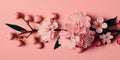 Pink cherry blossom Sakura branch on rose color background wallpaper. Spring blossom. Pastel. Royalty Free Stock Photo