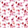 Pink cherry blossom seamless pattern. Watercolor sakura flowers, isolated on white background Royalty Free Stock Photo