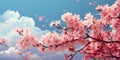 Pink cherry blossom tree on a pink and blue sky background. Copy space Royalty Free Stock Photo
