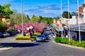 Pink Cherry Blossom Trees, Leura mall, Blue Mountains, NSW, Australia Royalty Free Stock Photo