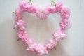 Pink cherry blossoms arranged as love heart shape,sakura blossom wreath Royalty Free Stock Photo