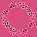 Pink cherry blossoms on a tree branch arranged in a wreath