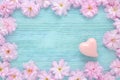 Pink cherry fresh flowers frame with a heart on blue wooden background flat Royalty Free Stock Photo