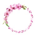 Pink cherry petals, sakura blossom, spring cherry flowers. Floral wreath. Watercolor round border Royalty Free Stock Photo