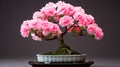 Pink Cherry Trees And Bonsai: Precisionism Influence By Zhichao Cai