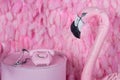 Pink children`s room with flamingos. Royalty Free Stock Photo