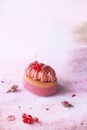 Pink Chocolate Ruby and Red Currant Mini Cake Royalty Free Stock Photo