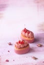 Pink Chocolate Ruby and Red Currant Mini Cakes Royalty Free Stock Photo