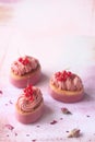 Pink Chocolate Ruby and Red Currant Mini Cakes Royalty Free Stock Photo