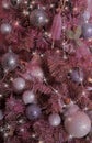 Pink christmas balls, decorations