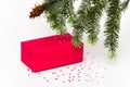 Pink Christmas gift box. Present box under fir branch on a white background adorned with pink stars. Festive composition