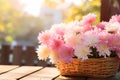 Pink chrysanthemum flowers in basket on wooden table.